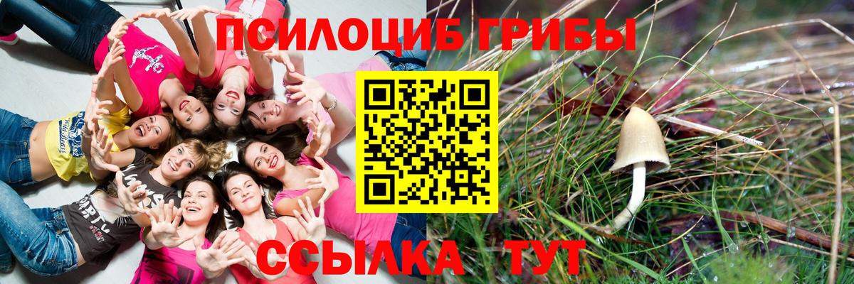 Галлюциногенные грибы мухоморы  Галлюциногенные грибы GOLDEN TEACHER  Сокол  Вход с VPN 