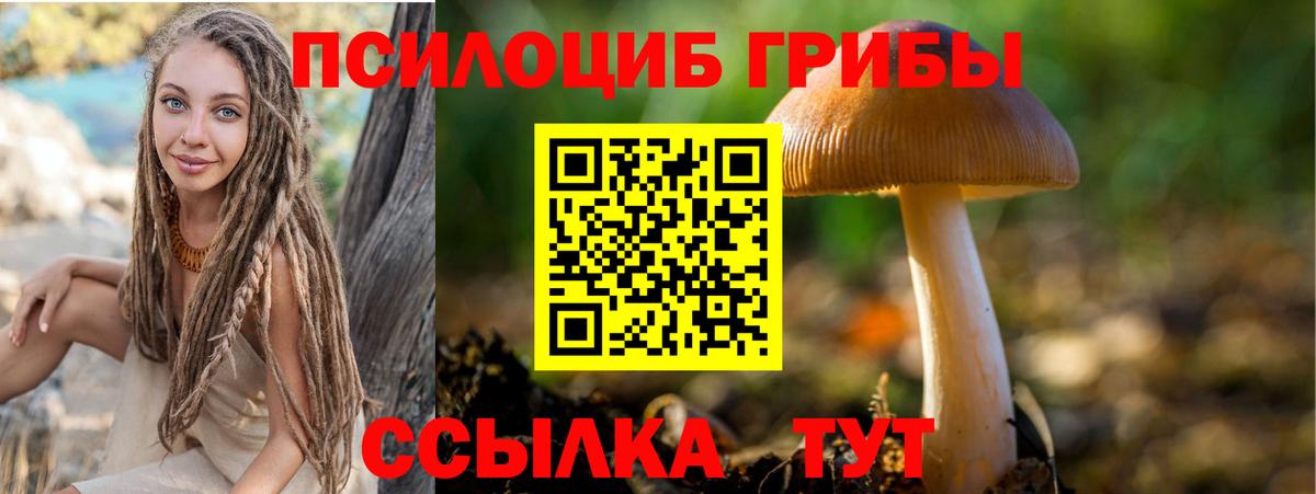 Галлюциногенные грибы Magic Shrooms Сокол